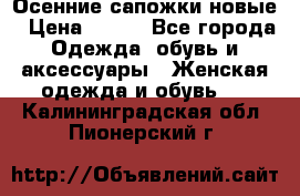 Осенние сапожки новые › Цена ­ 600 - Все города Одежда, обувь и аксессуары » Женская одежда и обувь   . Калининградская обл.,Пионерский г.